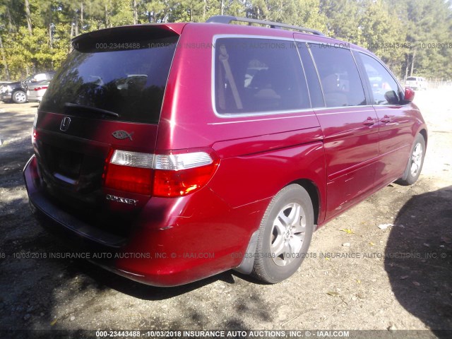 5FNRL38485B109063 - 2005 HONDA ODYSSEY EX RED photo 4