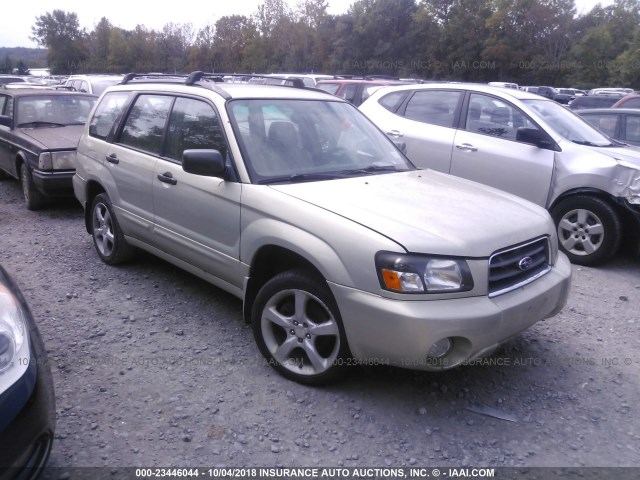 JF1SG65645H745384 - 2005 SUBARU FORESTER 2.5XS GRAY photo 1