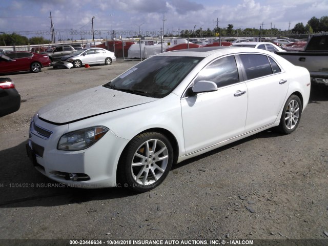 1G1ZE5E75BF344458 - 2011 CHEVROLET MALIBU LTZ 白色 照片 2