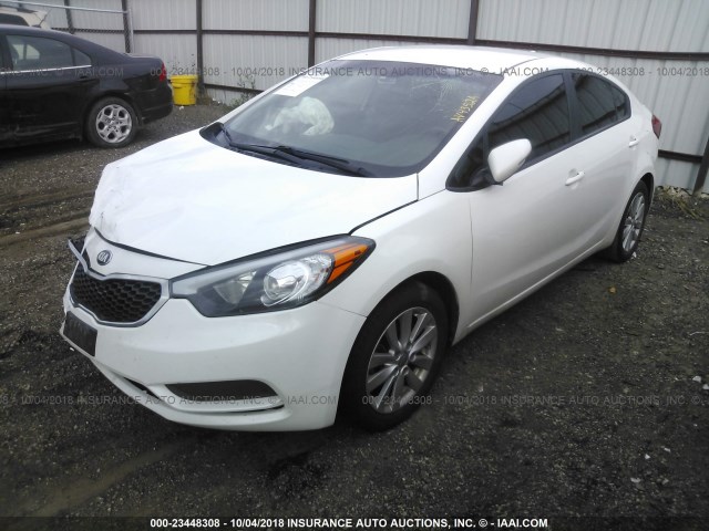 KNAFX4A66E5122126 - 2014 KIA FORTE LX WHITE photo 2