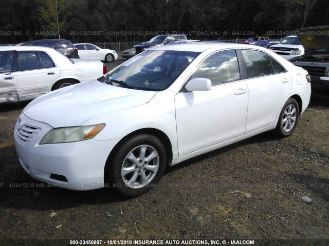 4T1BE46K97U681414 - 2007 TOYOTA CAMRY NEW GENERAT CE/LE/XLE/SE WHITE photo 2