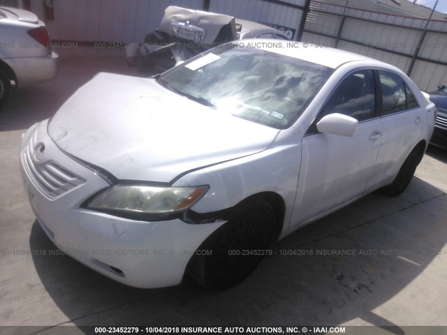 4T4BE46K89R054390 - 2009 TOYOTA CAMRY SE/LE/XLE WHITE photo 2