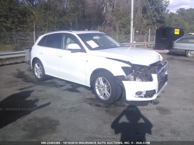 WA1DGAFP7DA033241 - 2013 AUDI Q5 PREMIUM PLUS WHITE photo 1