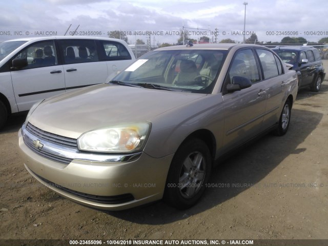 1G1ZT54885F300796 - 2005 CHEVROLET MALIBU LS 金色 照片 2