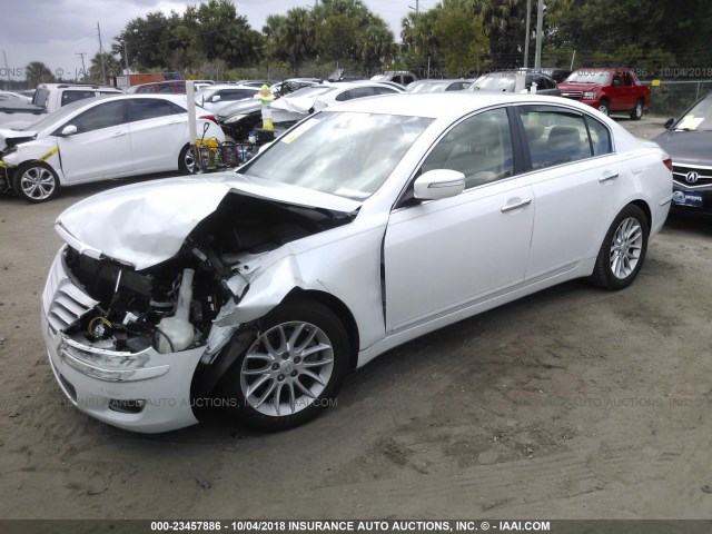 KMHGC4DE5BU135341 - 2011 HYUNDAI GENESIS 3.8L WHITE photo 2