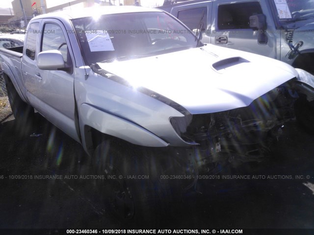 5TEUU42N06Z280131 - 2006 TOYOTA TACOMA ACCESS CAB Silber Foto 1