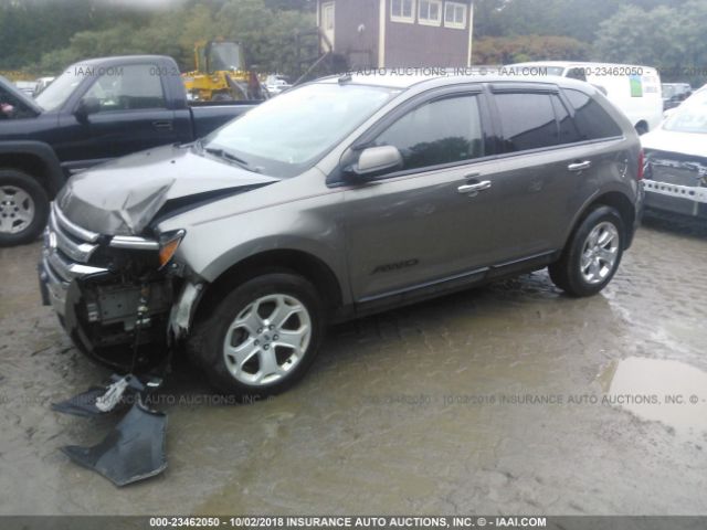 2FMDK4JC4DBC64088 - 2013 FORD EDGE SEL BROWN photo 2