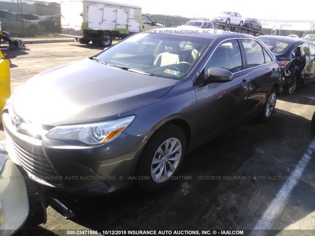 4T1BF1FK8HU659966 - 2017 TOYOTA CAMRY LE/XLE/SE/XSE GRAY photo 2