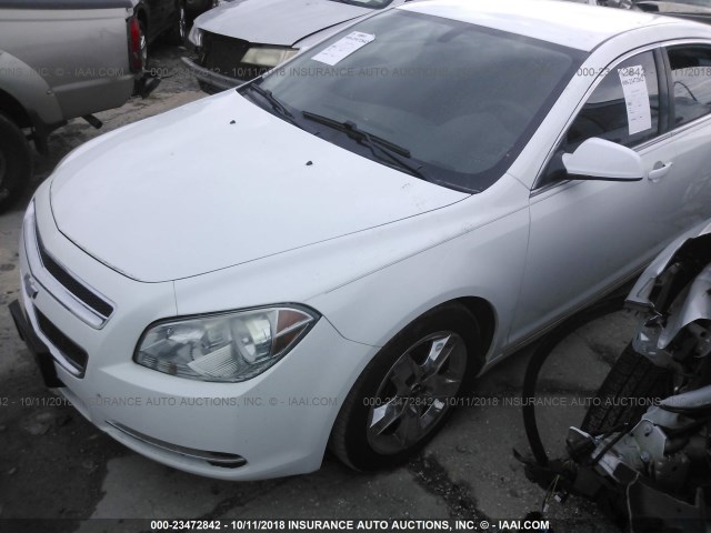 1G1ZC5EB2AF202383 - 2010 CHEVROLET MALIBU 1LT WHITE photo 2