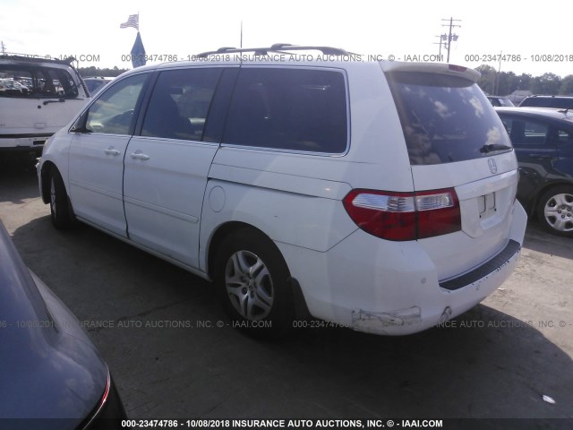 5FNRL38765B020957 - 2005 HONDA ODYSSEY EXL WHITE photo 3