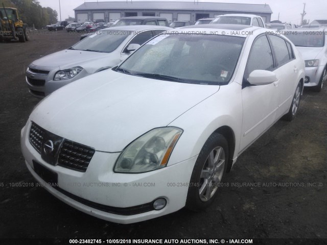 1N4BA41E94C875692 - 2004 NISSAN MAXIMA SE/SL WHITE photo 6