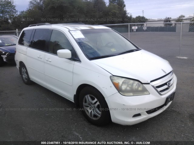 5FNRL38735B004134 - 2005 HONDA ODYSSEY EXL WHITE photo 1