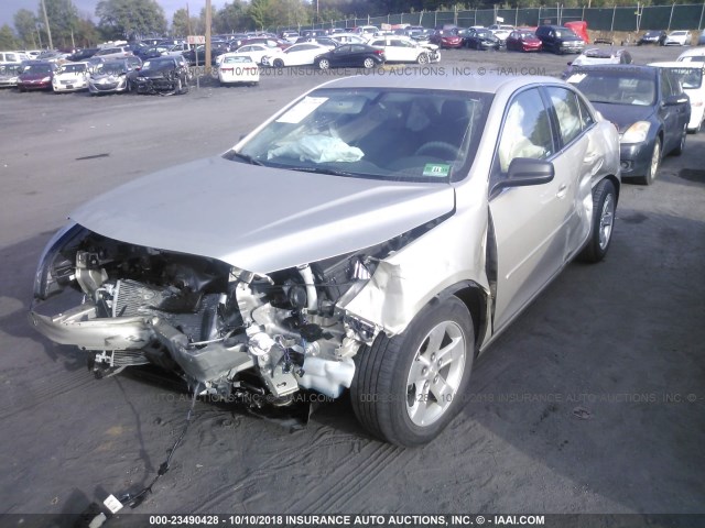 1G11B5SA8DF159460 - 2013 CHEVROLET MALIBU LS შამპანური ფოტო 2