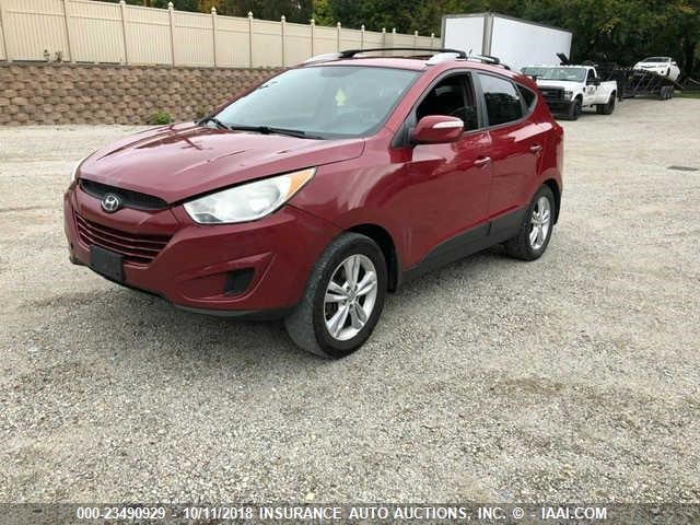 KM8JUCAC2CU345882 - 2012 HYUNDAI TUCSON GLS/LIMITED RED photo 2