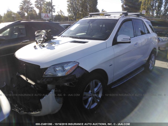 4JGDA5HB3CA096086 - 2012 MERCEDES-BENZ ML 350 4MATIC WHITE photo 2