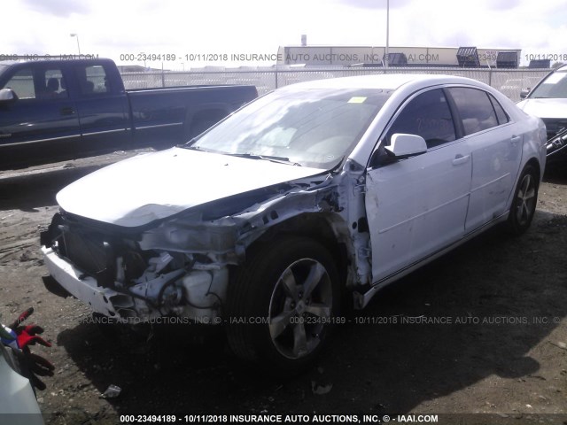 1G1ZC5EU2BF224337 - 2011 CHEVROLET MALIBU 1LT WHITE photo 2
