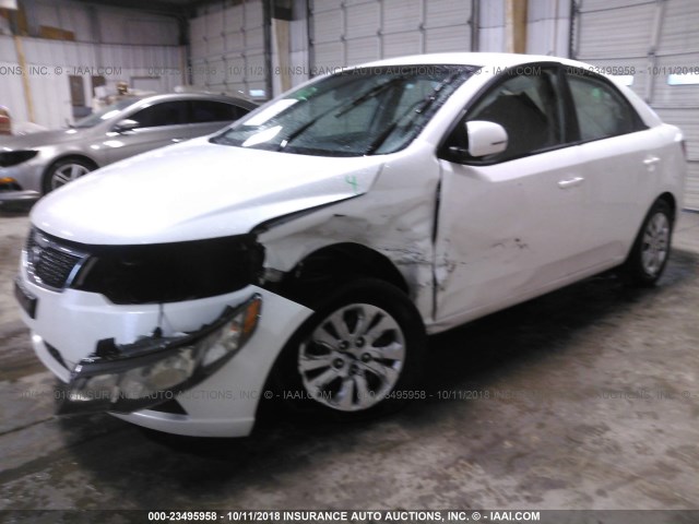 KNAFU4A24B5361482 - 2011 KIA FORTE EX WHITE photo 2