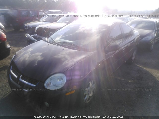 1B3ES56C05D199857 - 2005 DODGE NEON SXT RED photo 2