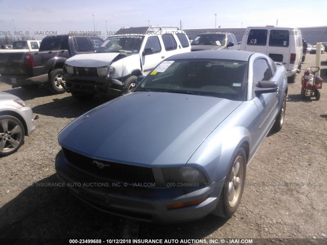 1ZVHT80N485124062 - 2008 FORD MUSTANG BLUE photo 2