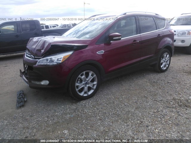 1FMCU0JX1EUB61921 - 2014 FORD ESCAPE TITANIUM RED photo 2