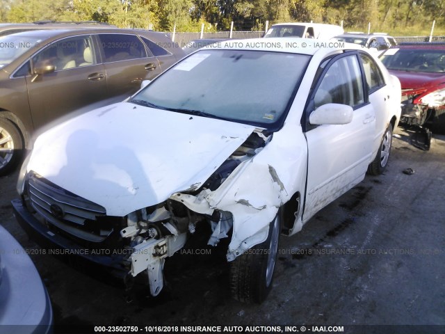 JTDBR32E232012152 - 2003 TOYOTA COROLLA CE/LE WHITE photo 2