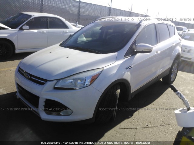 1FMCU0J98EUB49749 - 2014 FORD ESCAPE TITANIUM WHITE photo 2