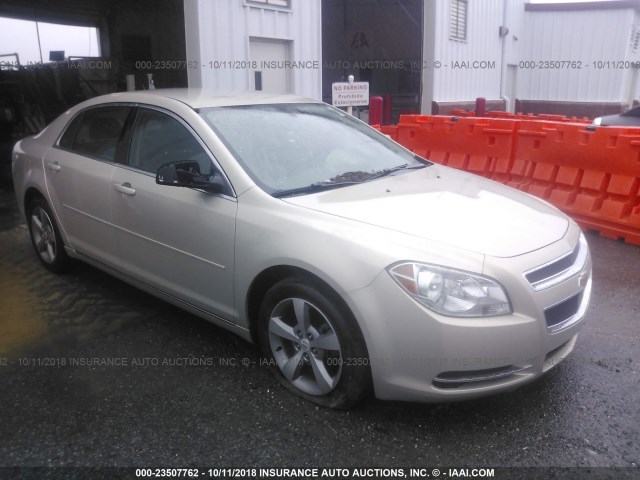 1G1ZC5EU1BF390607 - 2011 CHEVROLET MALIBU 1LT GOLD photo 1