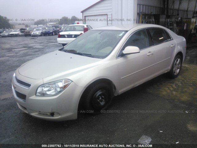 1G1ZC5EU1BF390607 - 2011 CHEVROLET MALIBU 1LT GOLD photo 2