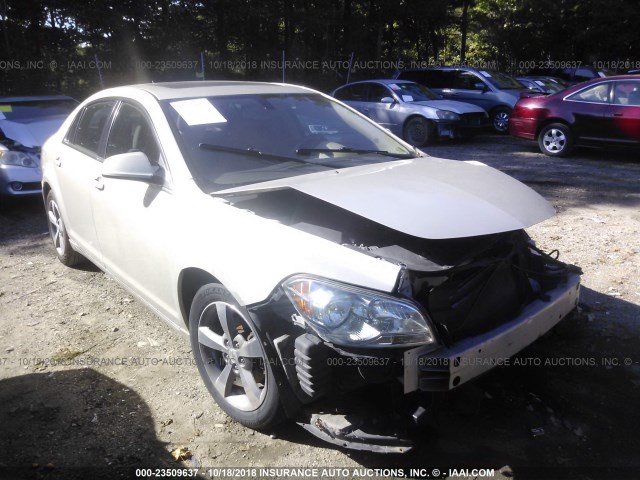 1G1ZC5E19BF262976 - 2011 CHEVROLET MALIBU 1LT GOLD photo 1