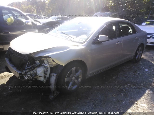 1G1ZC5E19BF262976 - 2011 CHEVROLET MALIBU 1LT GOLD photo 2