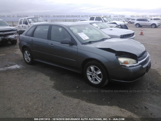 1G1ZT64874F166027 - 2004 CHEVROLET MALIBU MAXX LS GRAY photo 1