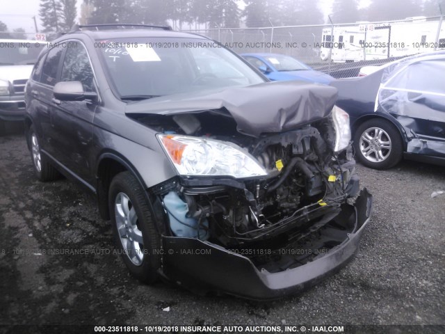 5J6RE48799L046210 - 2009 HONDA CR-V EXL GRAY photo 1