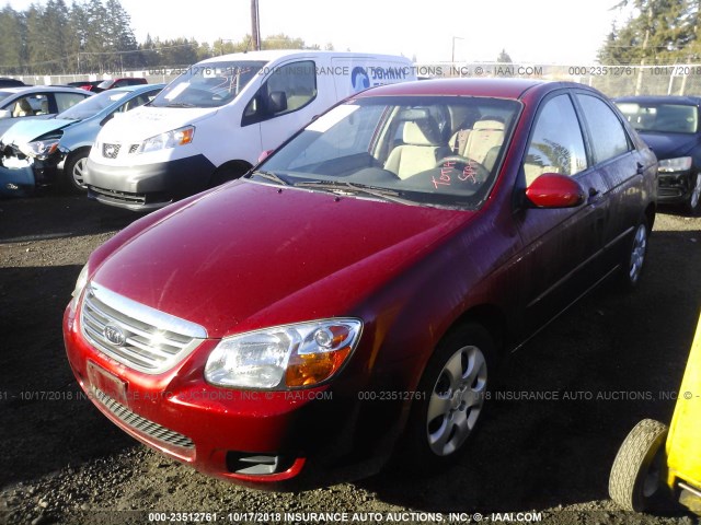 KNAFE121685512218 - 2008 KIA SPECTRA EX/LX/SX RED photo 2