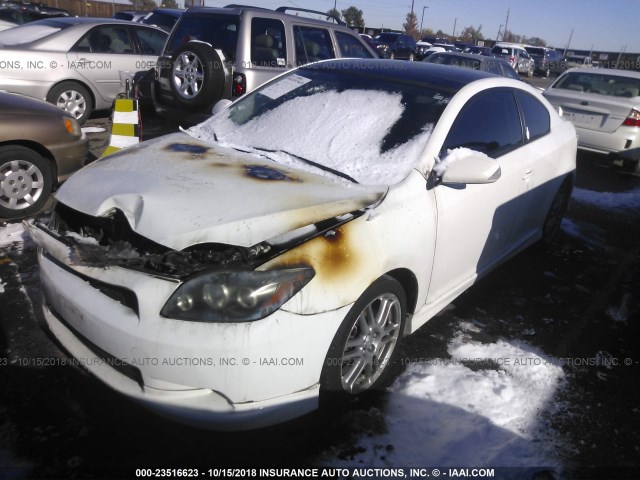 JTKDE167680266804 - 2008 TOYOTA SCION TC 白色 照片 2