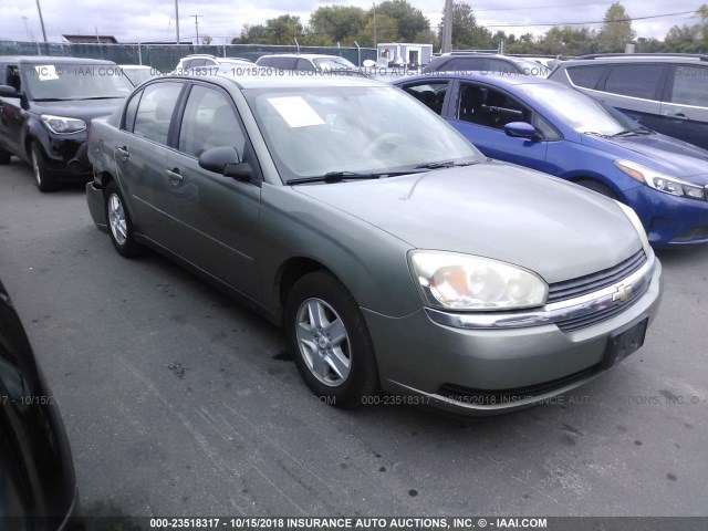 1G1ZT52835F242180 - 2005 CHEVROLET MALIBU LS მწვანე ფოტო 1
