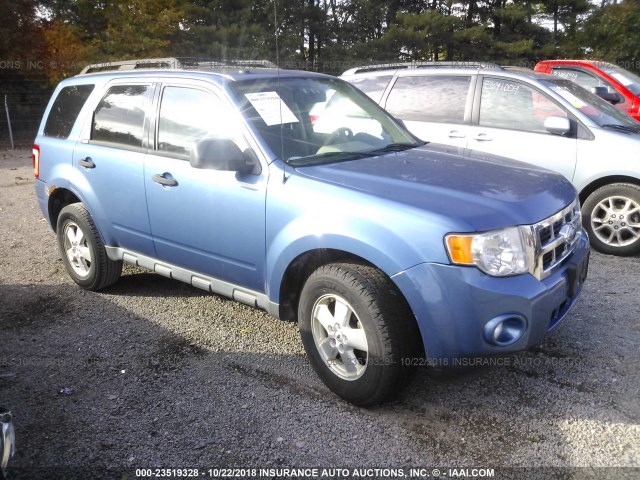 1FMCU0D70AKA03653 - 2010 FORD ESCAPE XLT BLUE photo 1