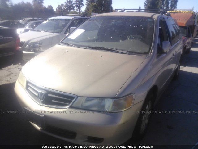 2HKRL18972H516112 - 2002 HONDA ODYSSEY EXL GOLD photo 2