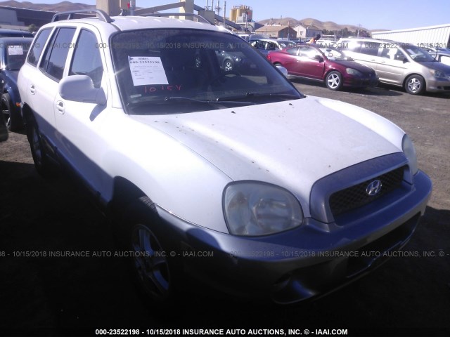 KM8SB12B63U393597 - 2003 HYUNDAI SANTA FE WHITE photo 1