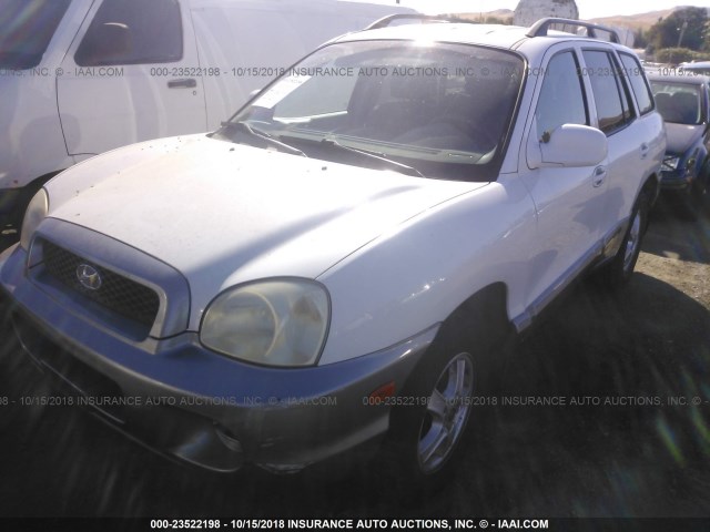 KM8SB12B63U393597 - 2003 HYUNDAI SANTA FE WHITE photo 2