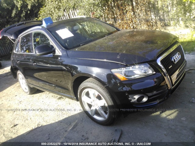 WA1LKAFP9AA073181 - 2010 AUDI Q5 PREMIUM PLUS BLACK photo 1