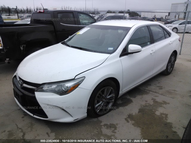 4T1BF1FK3GU240535 - 2016 TOYOTA CAMRY LE/XLE/SE/XSE WHITE photo 2