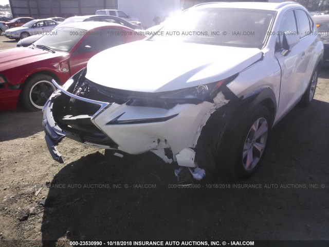 JTJBJRBZXH2061455 - 2017 LEXUS NX 300H WHITE photo 6