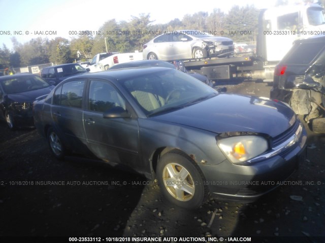 1G1ZT54894F235472 - 2004 CHEVROLET MALIBU LS ვერცხლისფერი ფოტო 1