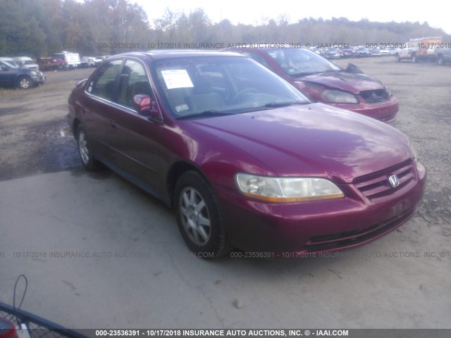 1HGCG66802A004962 - 2002 HONDA ACCORD EX/SE RED photo 1