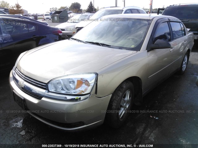 1G1ZT54894F146789 - 2004 CHEVROLET MALIBU LS Qızıl foto 2
