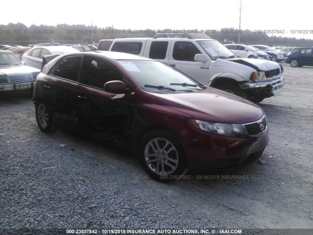 KNAFU4A21C5566534 - 2012 KIA FORTE EX MAROON photo 1