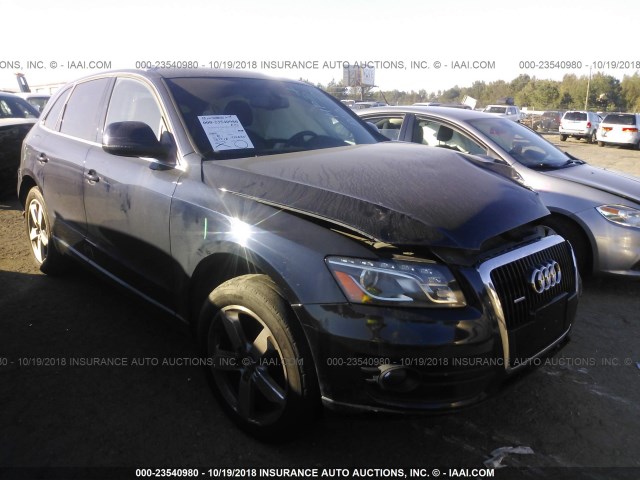 WA1LKAFPXAA032428 - 2010 AUDI Q5 PREMIUM PLUS BLACK photo 1