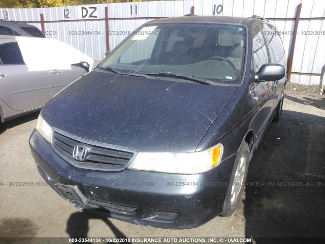 5FNRL18083B107828 - 2003 HONDA ODYSSEY EXL GRAY photo 6