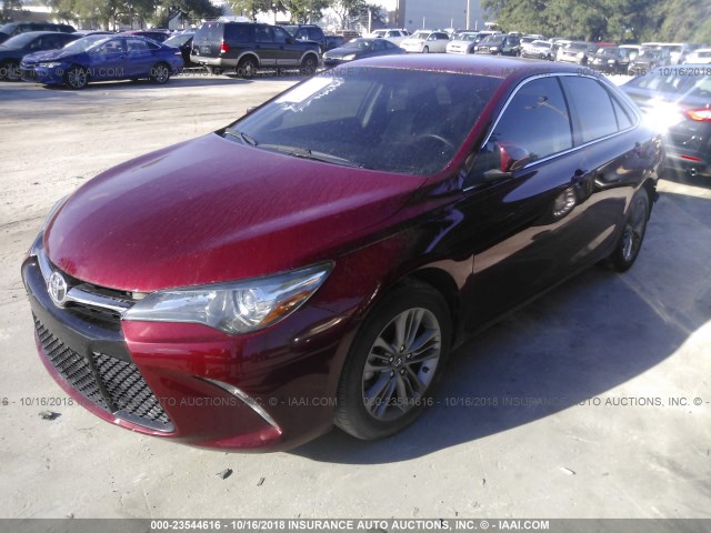 4T1BF1FK9GU600987 - 2016 TOYOTA CAMRY RED photo 2