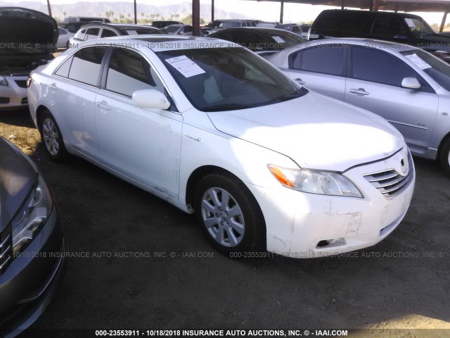 4T1BB46K59U083672 - 2009 TOYOTA CAMRY HYBRID WHITE photo 1